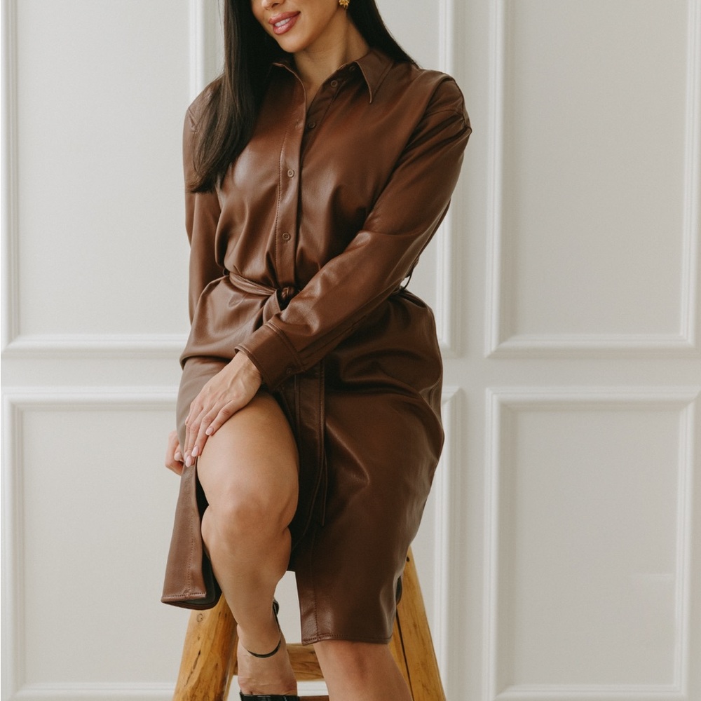 Aritzia vegan leather coat Chocolate Long Sleeve Dress